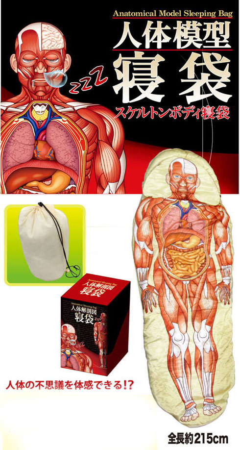 Anatomicalmodelsleepingbag02
