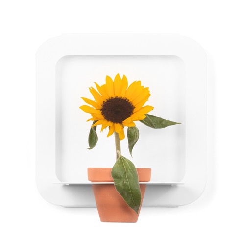 Appwallorganizer02