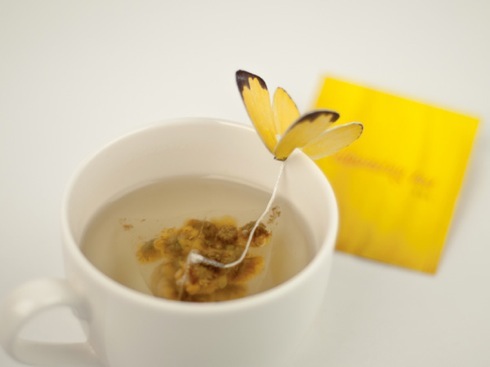 Butterflyteabag01