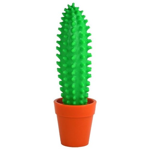 Cactuspen02