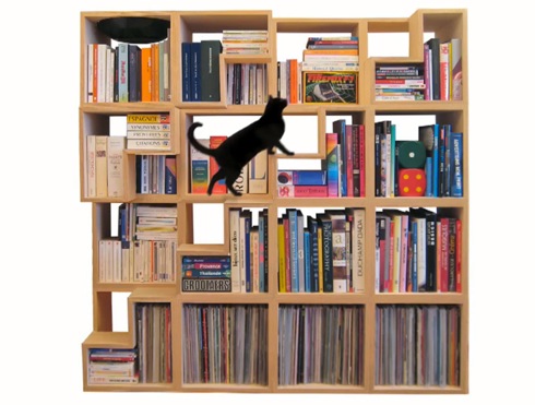 Catlibrary04