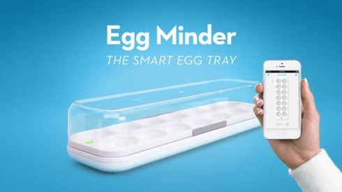 Eggminder02