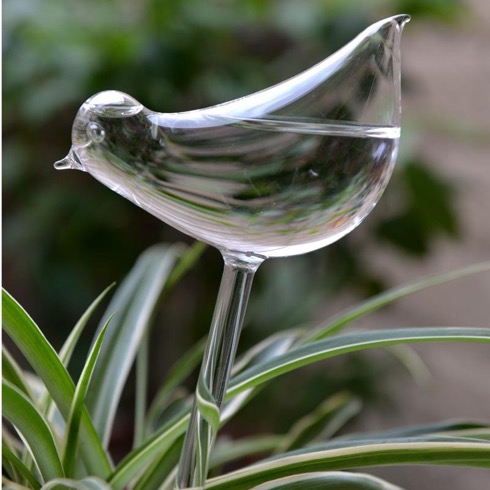 Glassplantwateringbird02