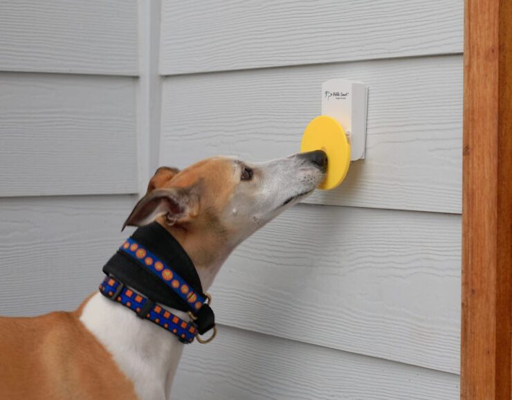 「はやくドア開けて！」鼻先で押せる犬専用ドアベル【Pebble Smart Doggie Doorbell】