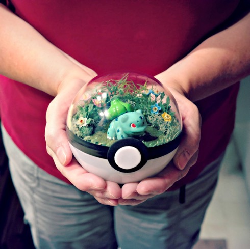 Pokeballterrarium04