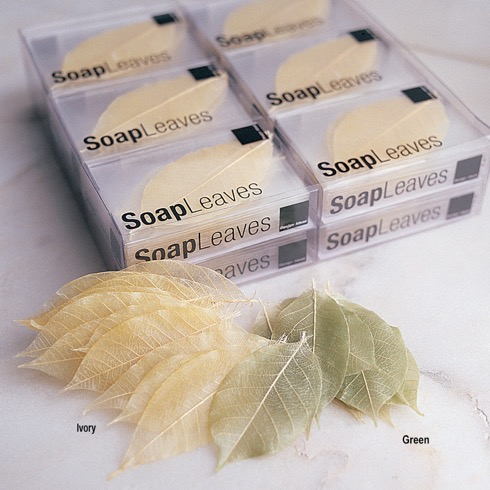 Soapleaves02