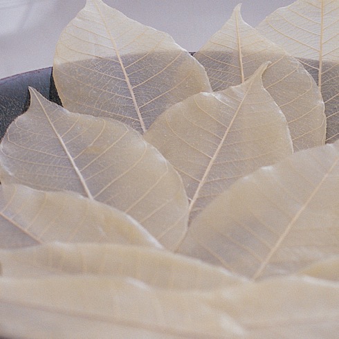 Soapleaves04