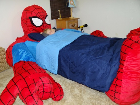 Spidermanbed01