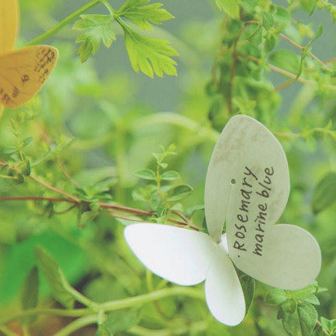 Taggedforgarden05