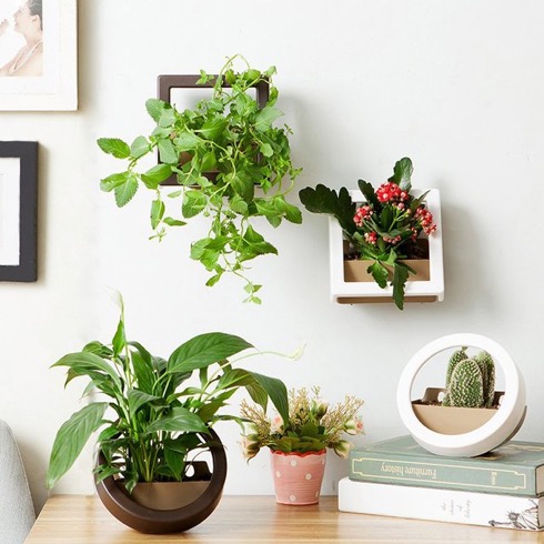 Wallmountedplanter01