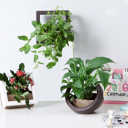 Wallmountedplanter03